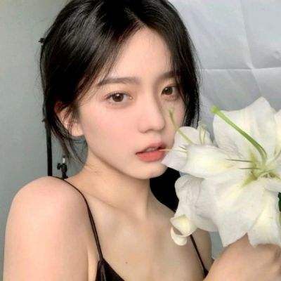 超进化物语吾爱破解版下载